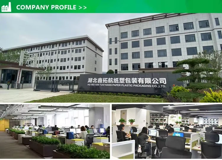 company profile company profile